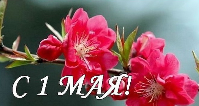 ПОЗДРАВЛЯЕМ С 1 МАЯ!